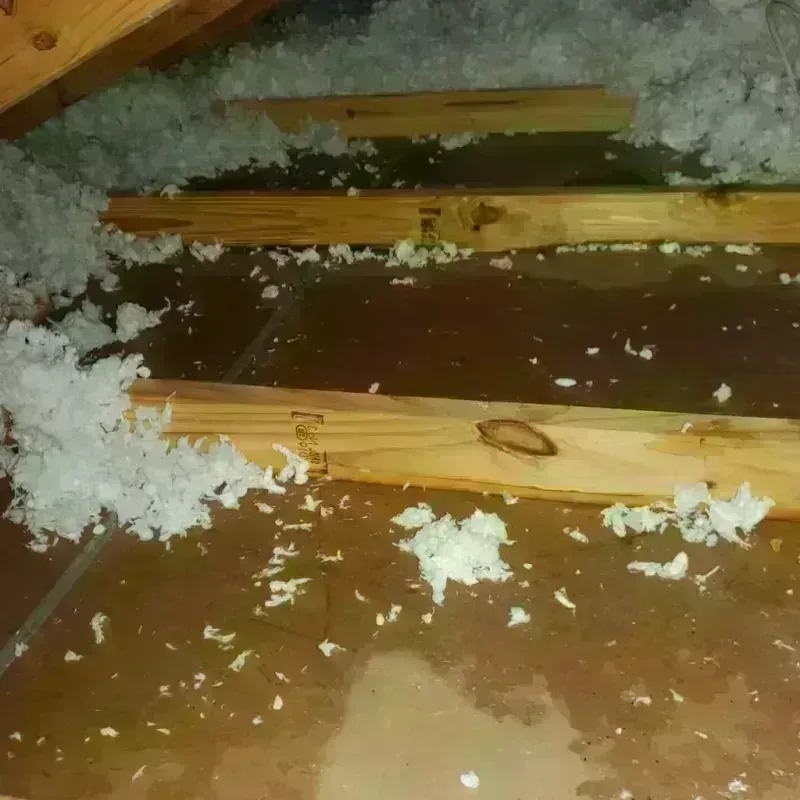 Attic Water Damage in Oakes, ND