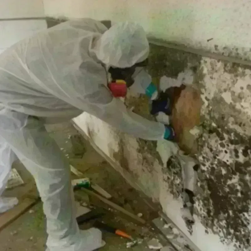 Best Mold Remediation and Removal Service in Oakes, ND