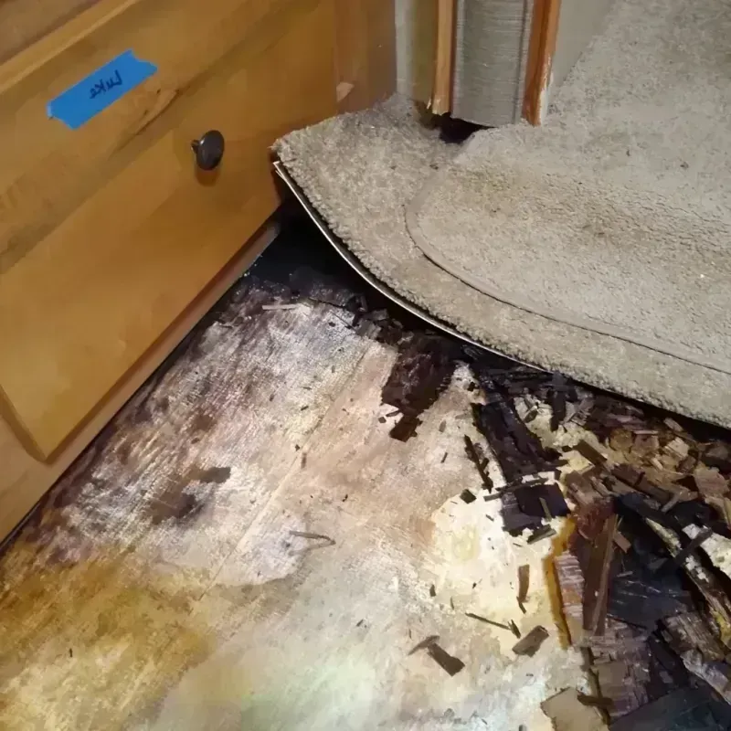 Wood Floor Water Damage in Oakes, ND